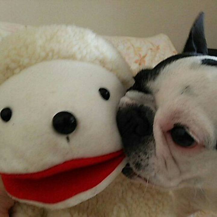 Eb5ae660 024c 49f1 b47d dec82c7729bc