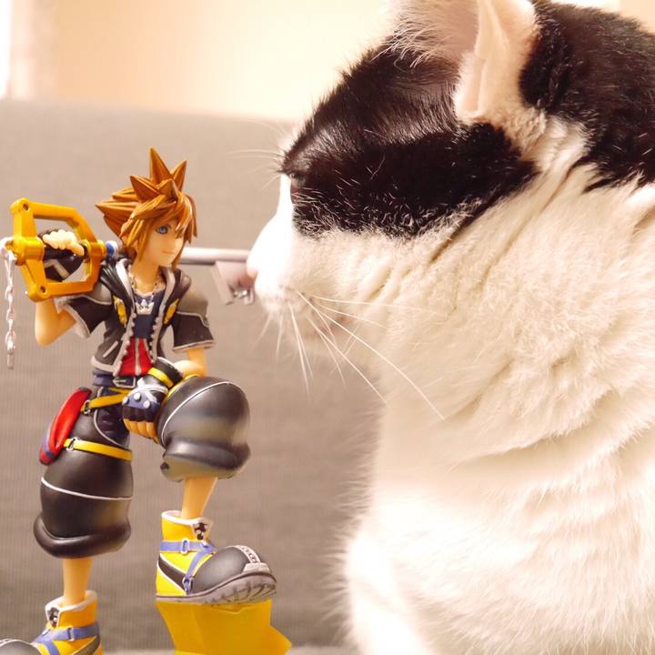 Eb5b2c61 f027 4adf 9024 f3ca12648c71