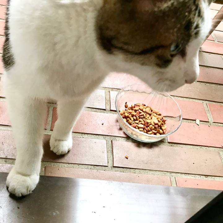 Eb5b4d98 7195 41b2 b71b fd64dc6105e3