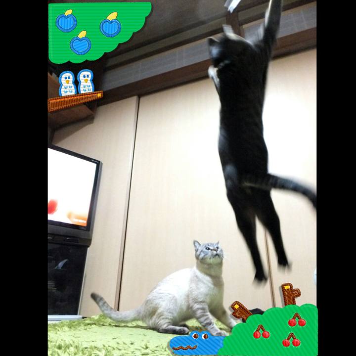 Eb5c7177 3d44 4898 ba71 c74afe555981