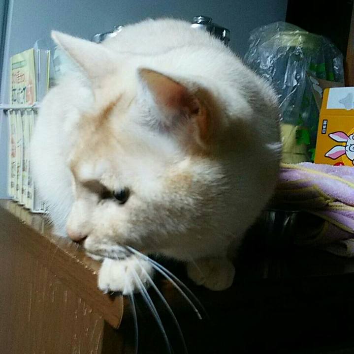 Eb5d60ba d788 4ca2 8b7d cab5fb6da81a