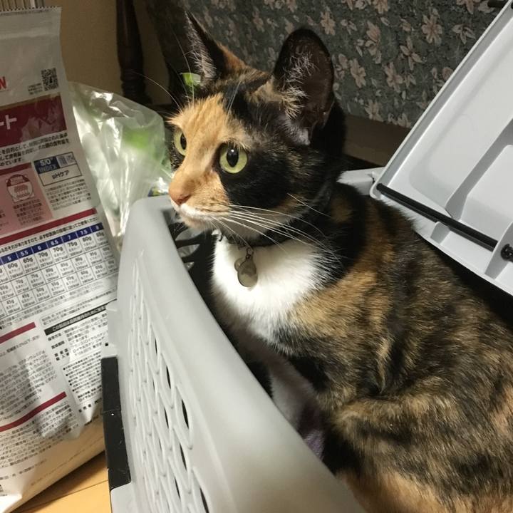 Eb5db9cc 2b00 44e2 8665 697eeddefd0d