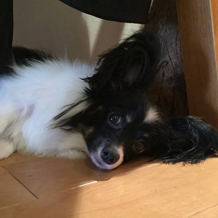 Eb5de5d6 5cd3 45f1 ba43 6d546a04beca