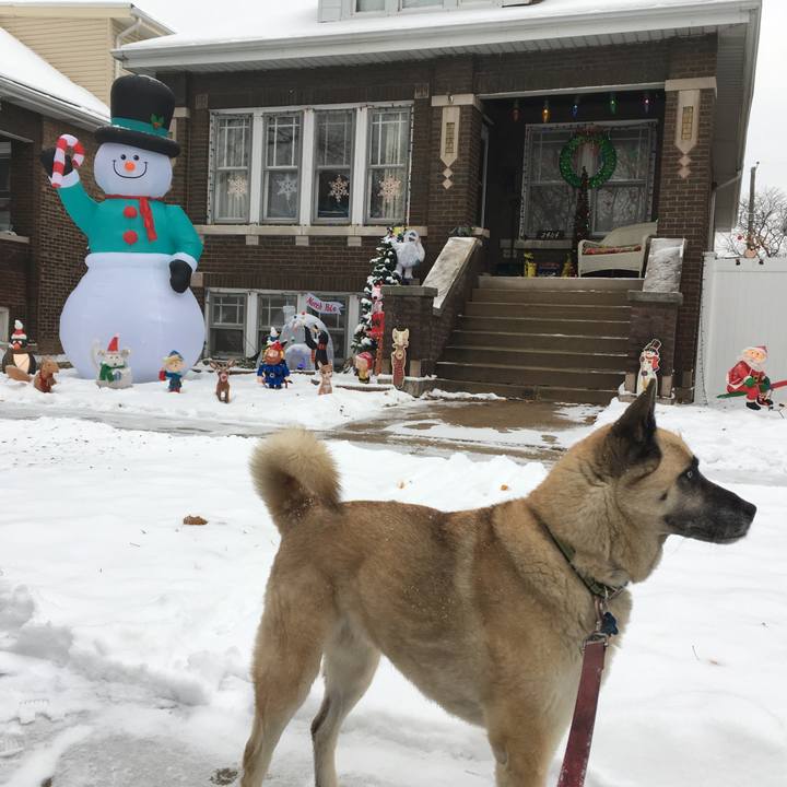 Eb5ea026 70ec 4359 b72d 3bdcf65a5e89