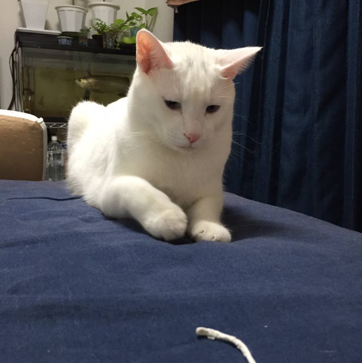 Eb5eafbb 21ab 464e bee0 2338d9765235