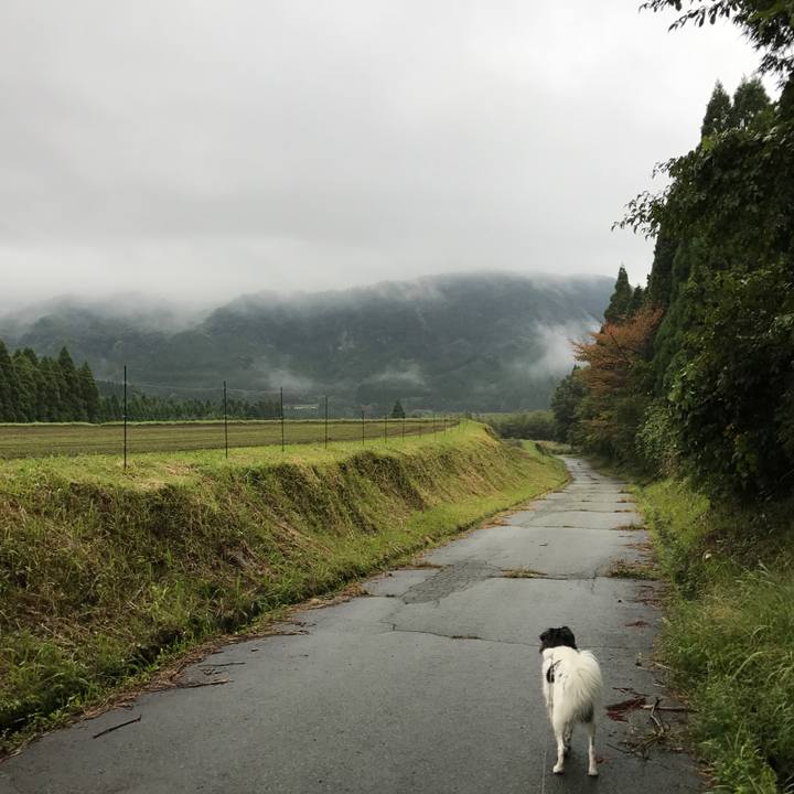 Eb5fbf1e 4667 42ff 9046 830ae5bf2d6d