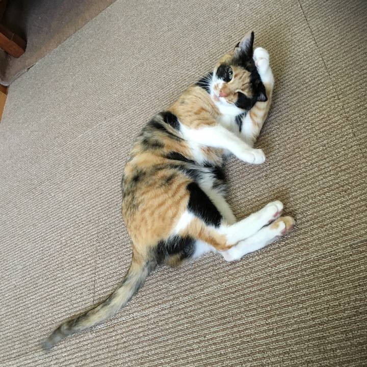 Eb5fcb49 7a14 4162 85b7 b6118a62e651