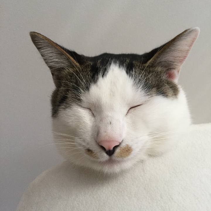 Eb5fe4cb 5bdc 4fed bbaa a15235376355