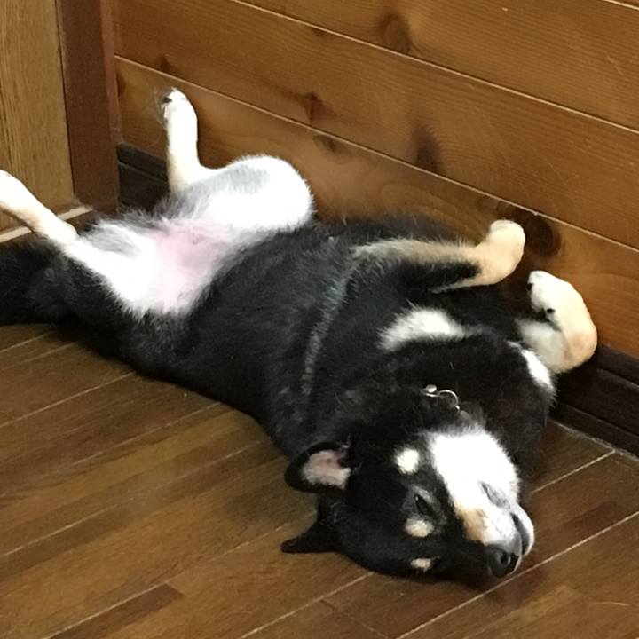 Eb607319 a675 4642 af3d d778344f0f24