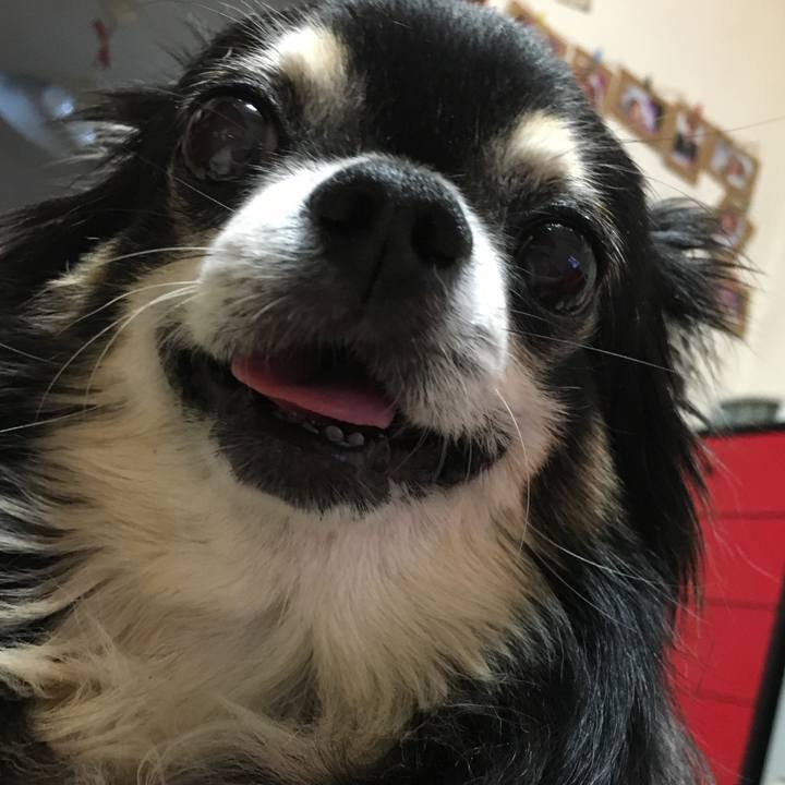 Eb6100b9 4b3c 4a34 8e1b ab96f9282204