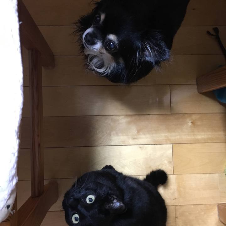 Eb612235 0567 411d 9bb9 4d4ef64dab45