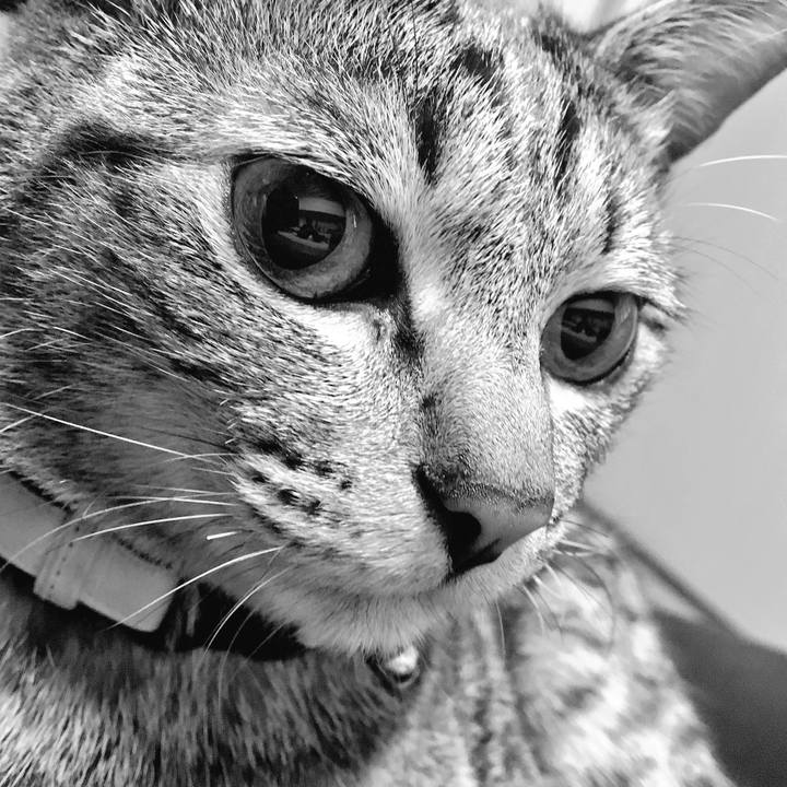 Eb619b5c b283 4b33 a16c f04be00f4ae5