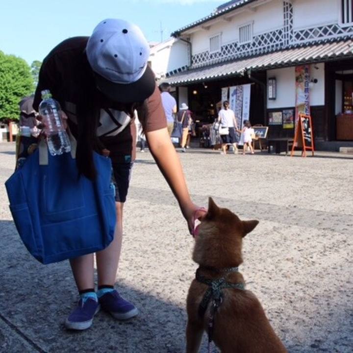 Eb62b587 9d14 4ff3 98ee 4b8ef2c31dd9