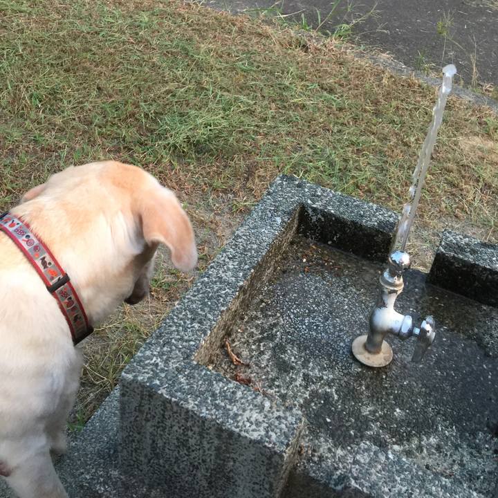 Eb62bd7d 7918 4288 b47f cb0c5fde0ec3