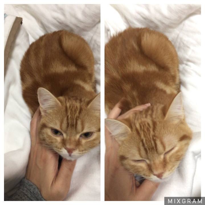 Eb62f88b 449c 4684 8405 c6383bad69dc