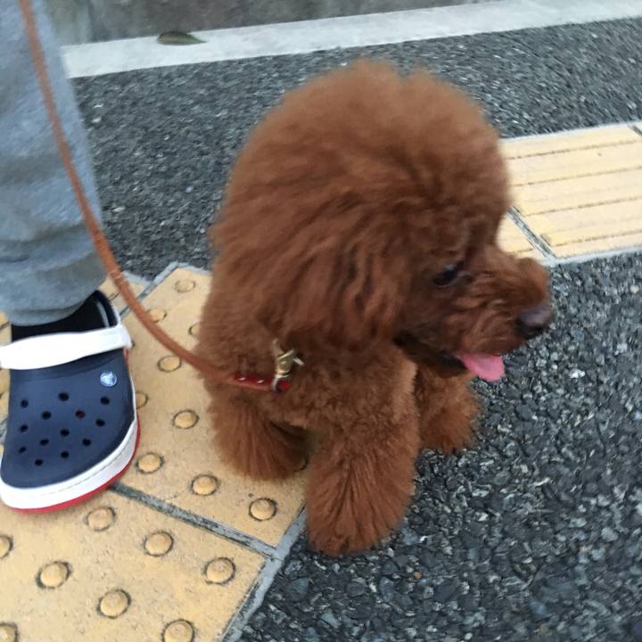 Eb633e83 b41b 4638 a684 27ea9a3d89b2