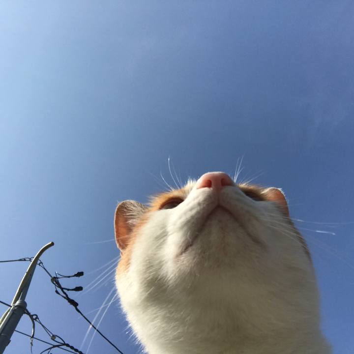 Eb638233 da9c 47ee a9e7 f8cd37a56215