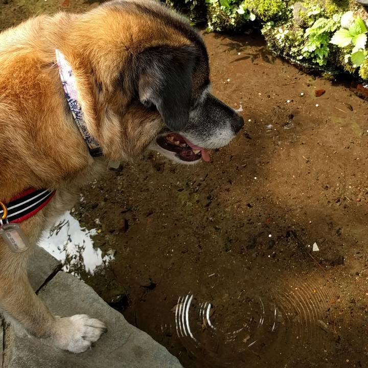 Eb6441d4 04ab 4671 8395 bde3aae95f8f