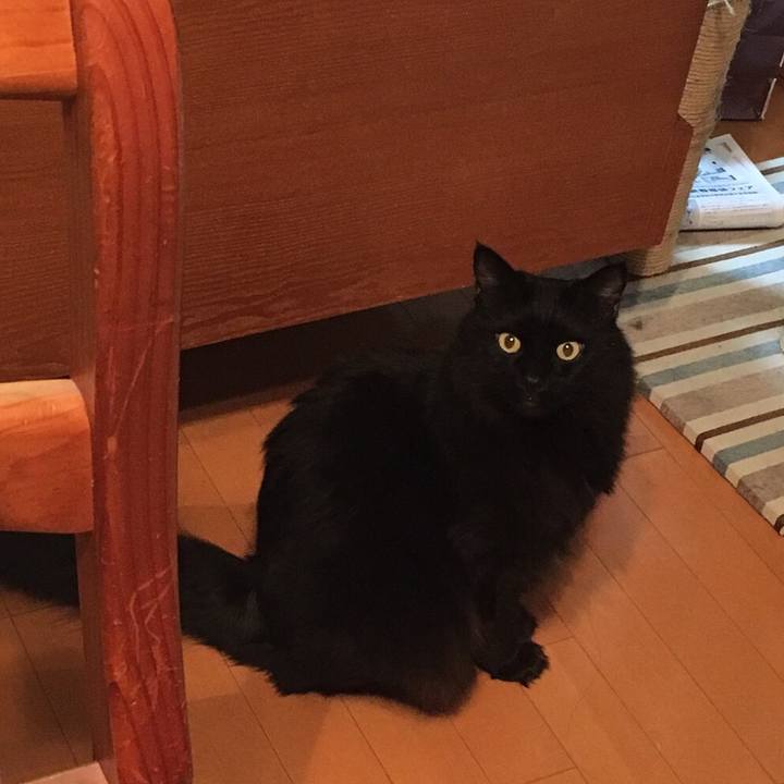 Eb644fe1 1540 474a 85c1 eb99f8a7bc41