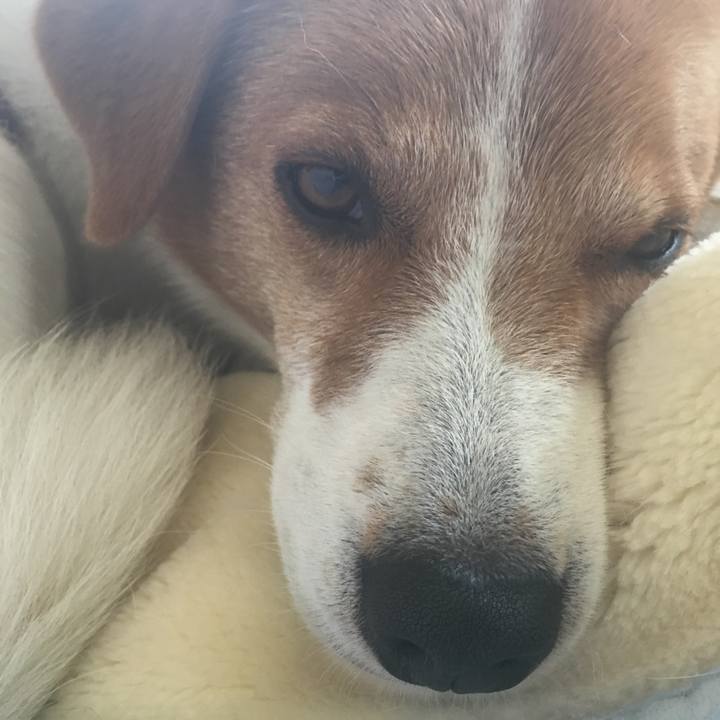 Eb648846 ec82 4170 b0f9 945ed23b4c1d