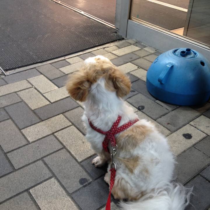 Eb64a6dd 27b6 4c6a a3c9 e1f00cd500c4