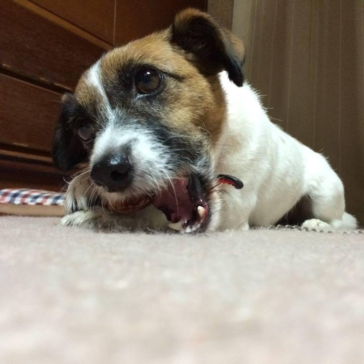 Eb65c779 9db9 4022 bec2 b4ee1aa2e250