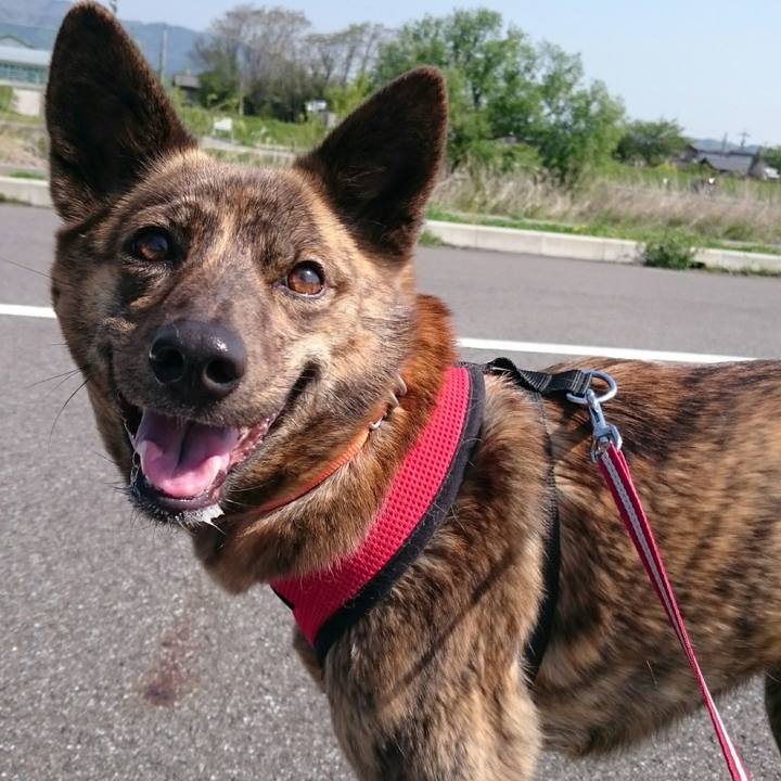 Eb65ece9 e3ad 46e3 9bb5 e728424e74ab