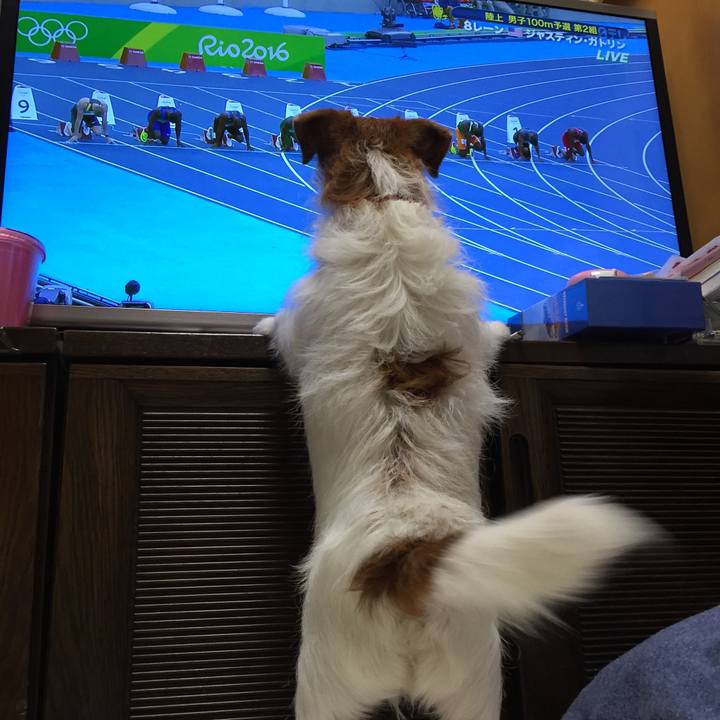 Eb664b5e 5f24 438b 8356 10c64e6a4054