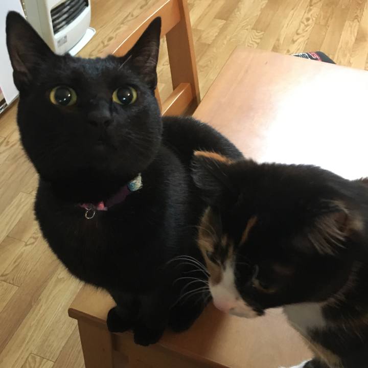 Eb666f1c 23ad 457e 9ea7 a3fdd2b32fa8