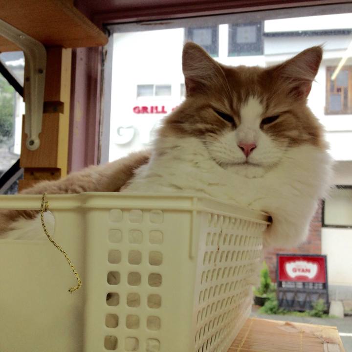 Eb66fa5f 92e6 4237 af65 e698d021ef2b