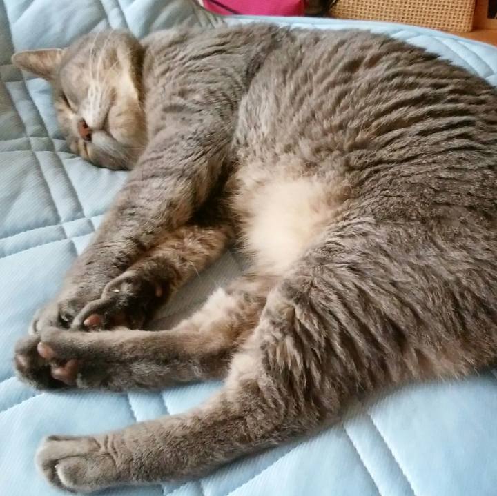 Eb6708fb 1160 4a93 ae0c ae7e1f5f5bf8