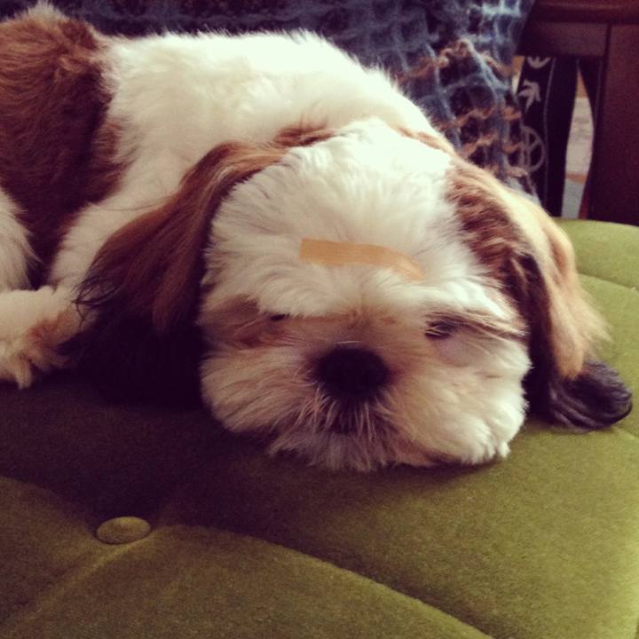 Eb67de8b b780 48ce 91e5 724e750cff18