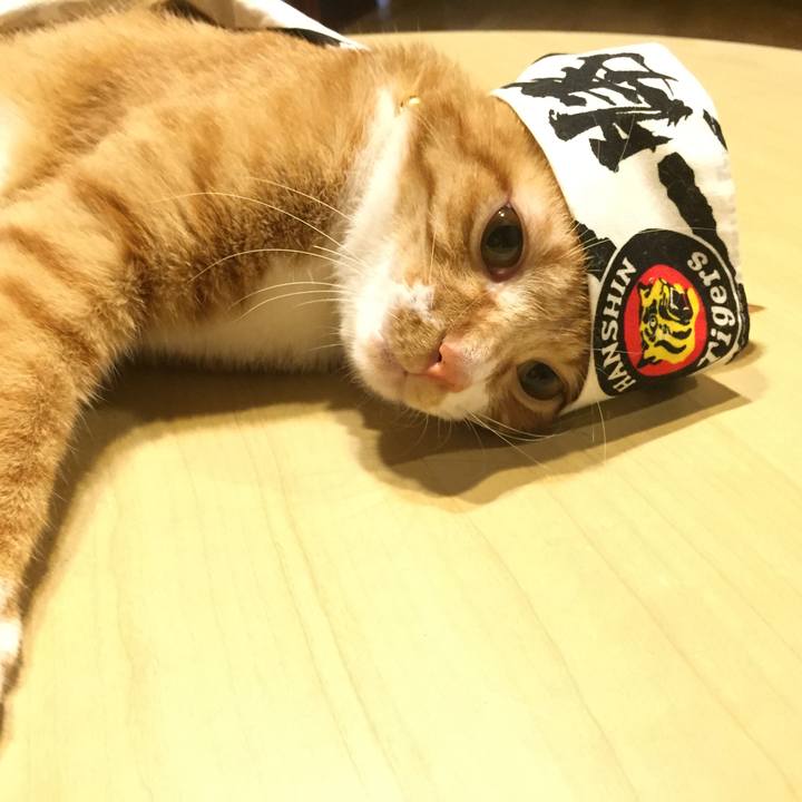 Eb67fd51 8997 4233 80a4 4bdd756ec41b