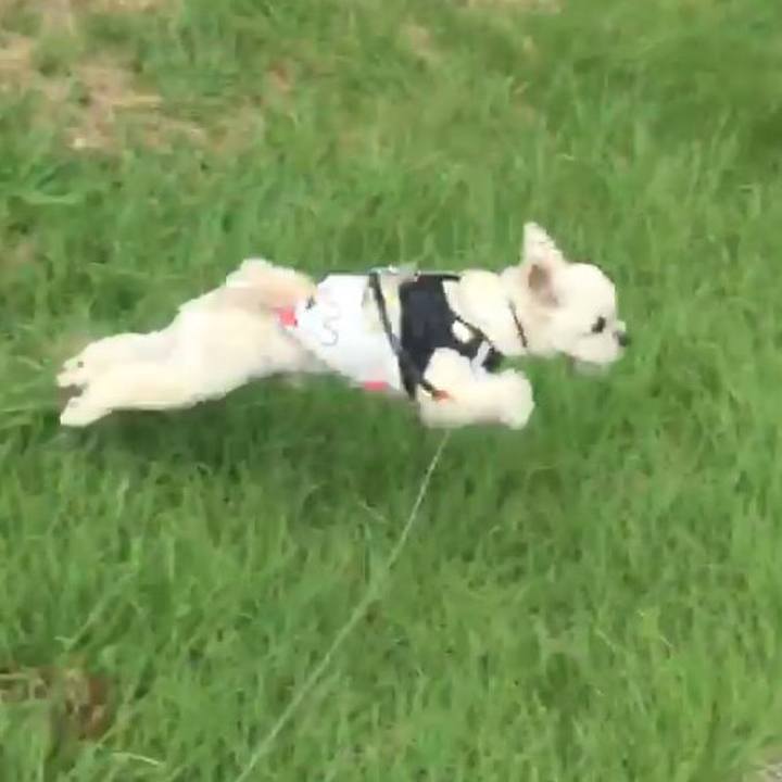 Eb682041 6863 4ed7 8b0a 66a150020527