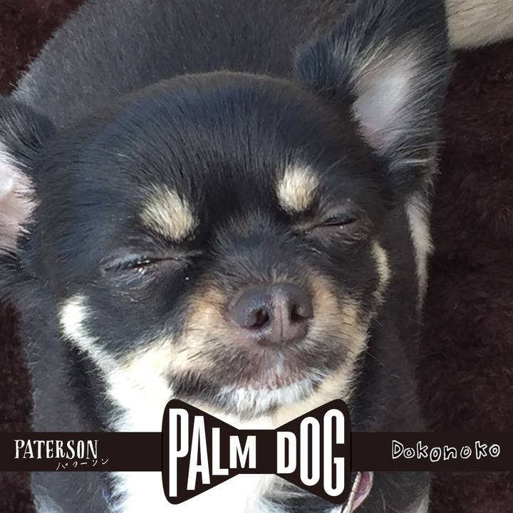 Eb6822af a3fc 42a4 b565 90191de34f9c