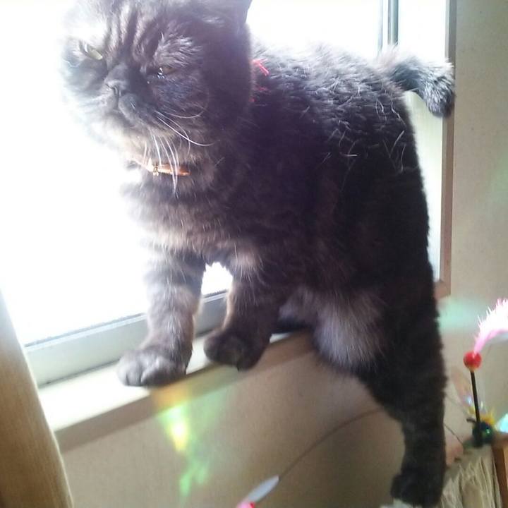 Eb6825b8 0029 4d35 bb00 3cbab16f6152