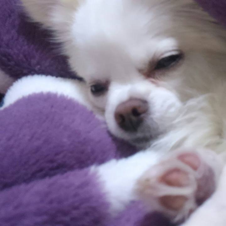 Eb68a9a6 83d5 499a 82a2 2cf87cc7c645