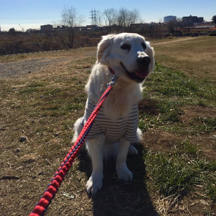 Eb68f03b a1d8 431b 9d80 14c909d7333c