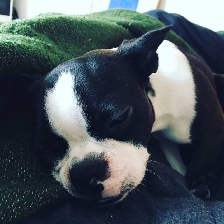 Eb68f68f 07b0 4b5a a0fc f0b3f2970810