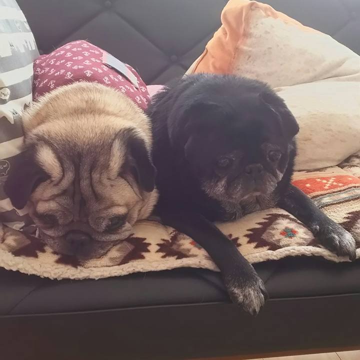 Eb6a1037 f789 416f b6bf 753ac20cd6e3