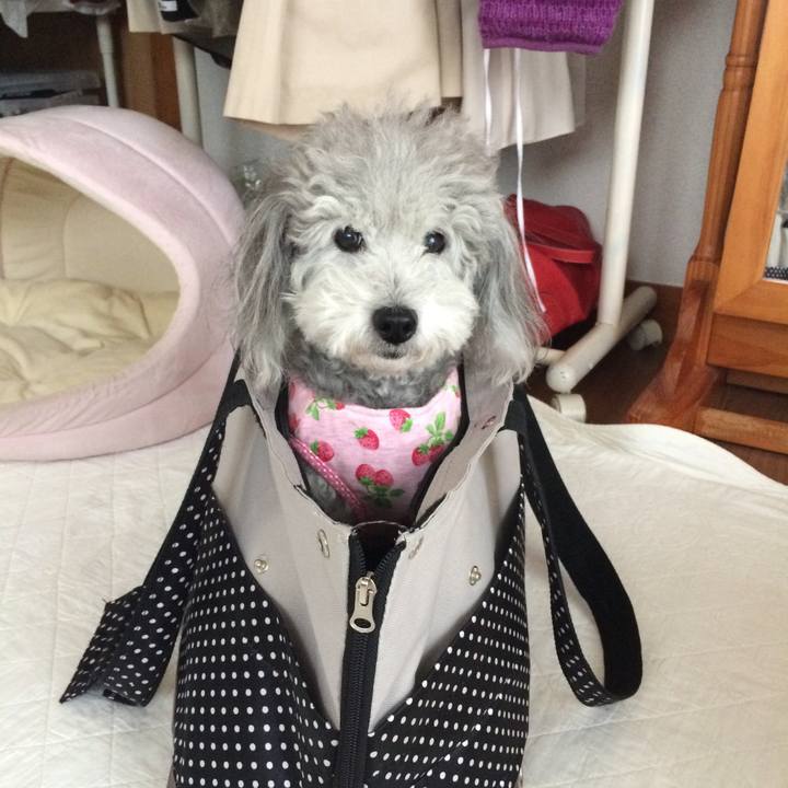 Eb6af520 2d7c 4271 a822 d97130a85cfd