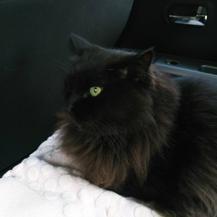 Eb6b06ff 3a83 4d3b a3cb ea77293fb3df