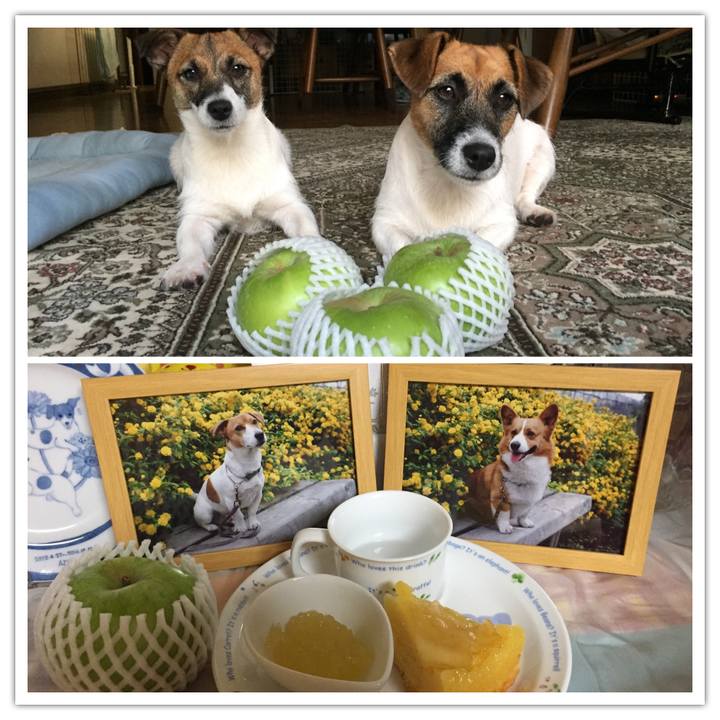 Eb6b963b 7e46 4026 a228 7baba86174ad