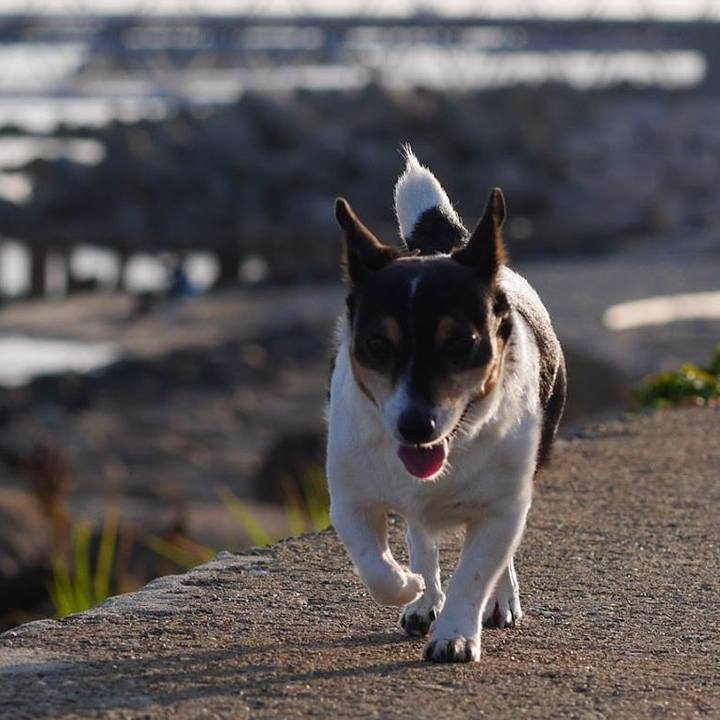 Eb6bb99e d198 4186 a8e3 db897d76292a