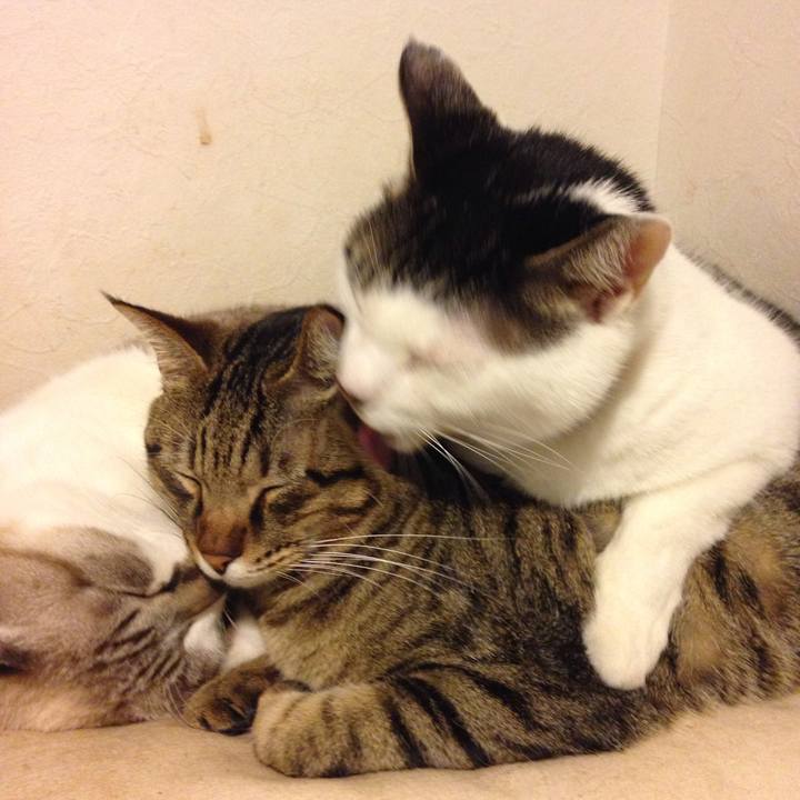 Eb6bf79a ff7a 4644 aa93 a646115fbaed