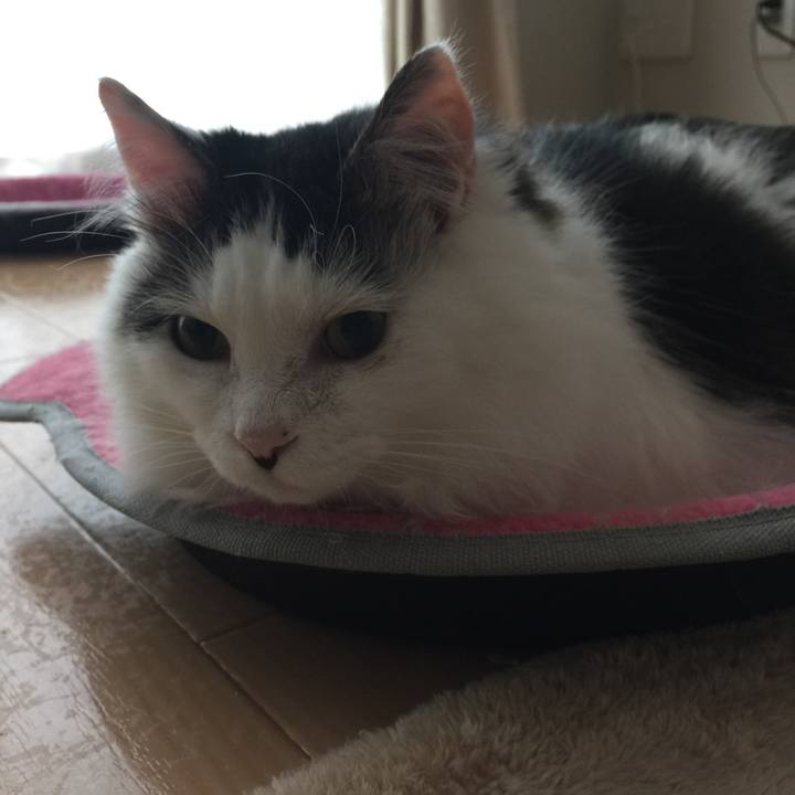 Eb6c0286 dd97 4d8a bc24 2011cce7f4d3