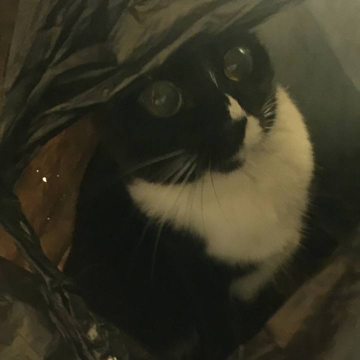 Eb6c0ae9 879b 4d92 bfc1 e4bbb9d30d6d