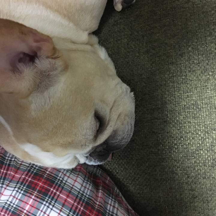 Eb6cca87 5ecb 4122 8566 2f7d98948be6