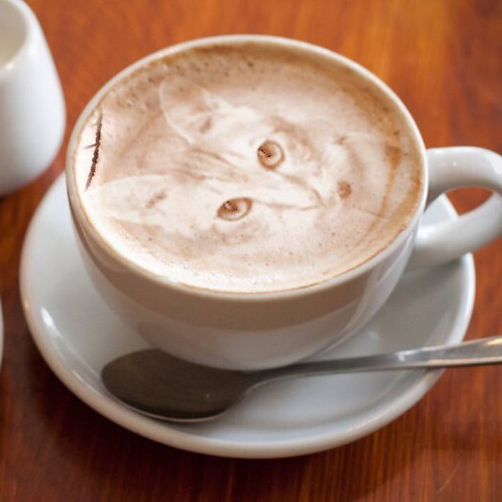 Eb6d27e4 bf2d 4c84 ae5f e19a3c460bc8