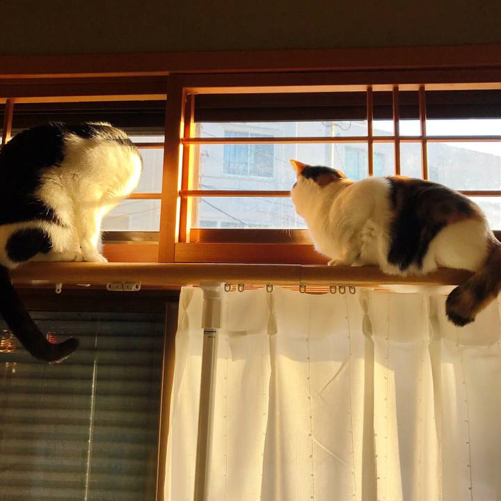 Eb6d59c0 0252 4250 9131 081011a8b812